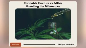 Cannabis Tincture vs Edible: Unveiling the Differences Featured Image